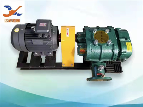 YXSR直联型罗茨风机(图1)