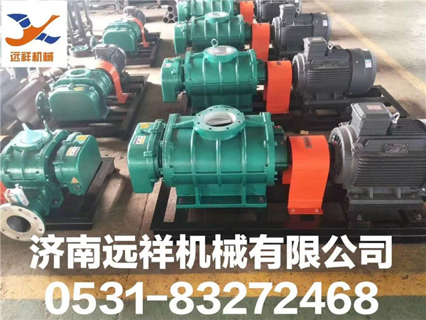 YXSR直联型罗茨风机(图1)