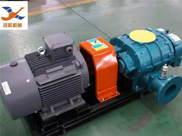 YXSR直联型罗茨风机(图1)