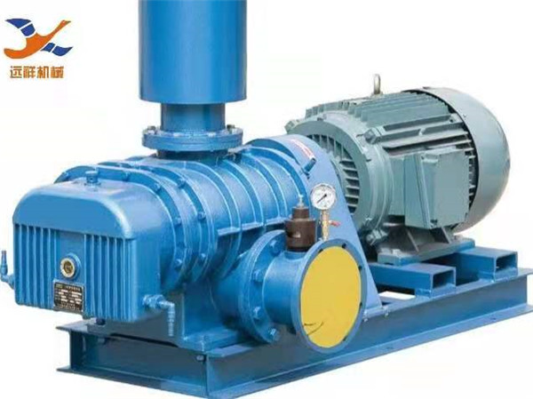 YXSR直联型罗茨风机(图1)