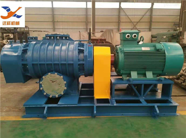 YXSR直联型罗茨风机(图1)