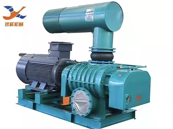 YXSR直联型罗茨风机(图1)